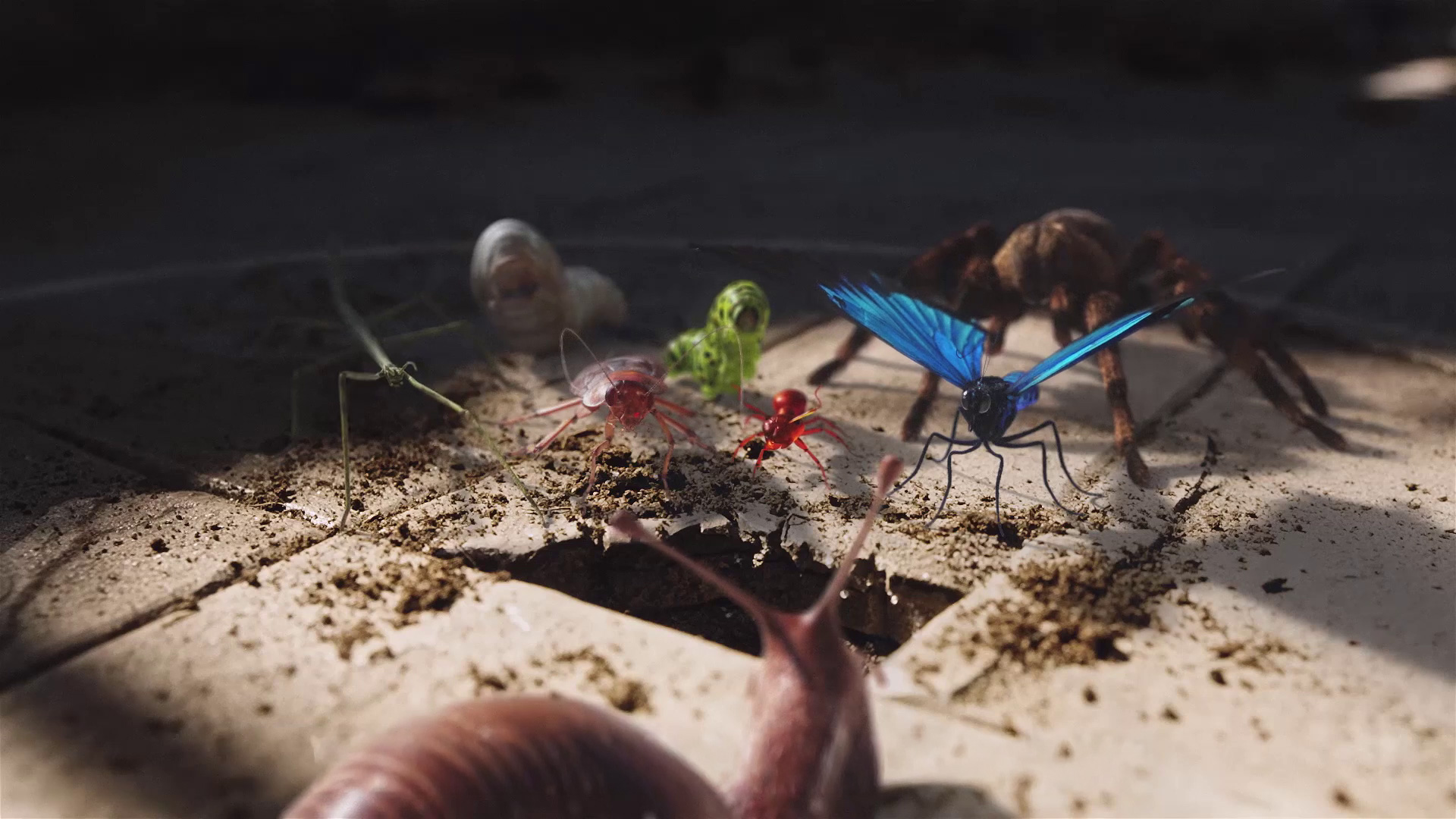 Tombola -  I'm a Celeb Ident